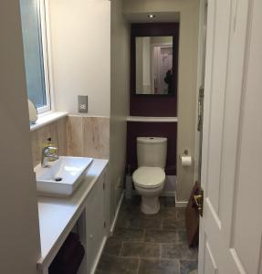 塔伯特Artisan Studio的一间带卫生间、水槽和镜子的浴室