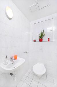 什平德莱鲁夫姆林Apartment Bílé Labe 38的白色的浴室设有水槽和卫生间。
