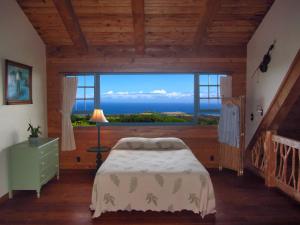 哈威卡哈拉旅舍 - 假日出租房屋的一间卧室设有一张床和一个大窗户