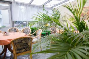 哥达Pension Regina - Inh. Monique Kluge的庭院配有桌椅和植物