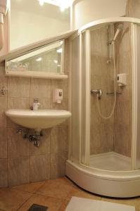萨拉热窝特雷克斯酒店的一间带水槽和淋浴的浴室