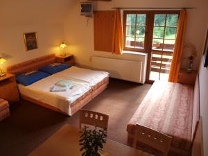 济泽罗河畔帕塞基Apartmány Vlasta的酒店客房设有两张床和窗户。