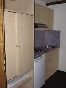 济泽罗河畔帕塞基Apartmány Vlasta的一个带柜台和水槽的小厨房