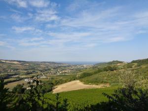 Montefiore dellʼAsoLa Dolce Vallata的享有带土路的绿色山谷的景色