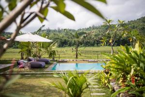 日惹日惹蓝色花园住宿加早餐旅馆的一个带椅子和遮阳伞的度假游泳池