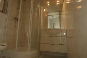 奥斯特仁德德赫鲁德公寓的带淋浴、盥洗盆和卫生间的浴室