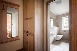 马达伯乐斯拉夫Penzion v Zálesí的一间带卫生间、水槽和镜子的浴室