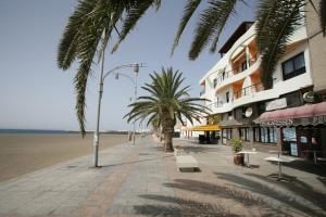 大塔拉哈尔Apartamento Atis Tirma的一条种有棕榈树的街道和海滩上的一座建筑