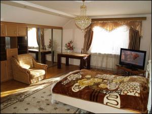 利沃夫Apartament Sanitarna 17的一间带大床的卧室和一间客厅