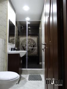 布加勒斯特Studio Bijou Bucharest的带淋浴、卫生间和盥洗盆的浴室