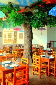 长滩岛绿洲度假酒店的一间设有桌子和一棵带遮阳伞的树的餐厅