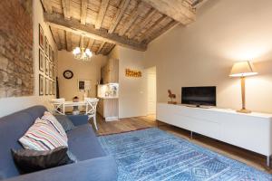 佛罗伦萨Mamo Florence - Boheme Apartment的客厅配有蓝色的沙发和电视