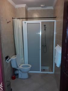 泰夫劳特Hotel Salama STE SAL- AMA SUD SARL AU的浴室配有蓝色卫生间和淋浴。