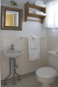 里维耶尔·杜·卢普Motel Bellevue的一间带卫生间、水槽和镜子的浴室