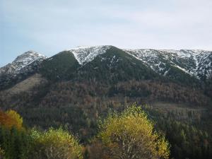 拉肯霍夫Ferienwohnung Ötscherwiese的山地,被树木覆盖,有雪覆盖的山