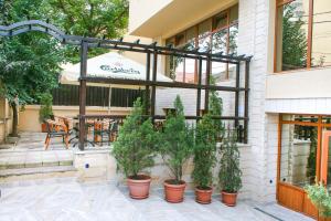克卢日-纳波卡Hotel Rao的餐厅前方种有盆栽植物的庭院
