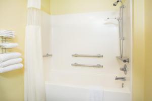 列克星敦列克星敦内布拉斯加戴斯酒店的带淋浴和浴帘的浴室