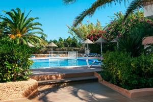 埃斯普霍斯Apartamentos Portu Saler的一座种植了棕榈树和植物的游泳池
