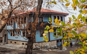 普罗夫迪夫Hotel Evmolpia的前面有一棵树的蓝色房子