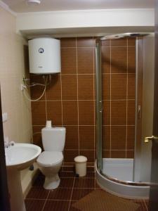 第聂伯罗Отель Гармония的浴室配有卫生间、盥洗盆和淋浴。