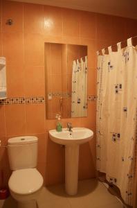 毕尔巴鄂左拉兹艾1宾馆的一间带卫生间、水槽和镜子的浴室