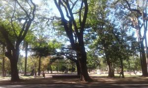 蒙得维的亚Apartamento Paseo del Lago的公园里树木繁茂,公园里的人