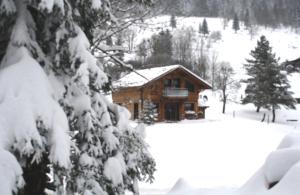 莱瓦尔坦Chalet Elisa的雪地里的小木屋,有树