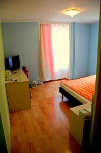 维特伯夫得乐奥斯酒店的一间卧室配有一张床、一张书桌和一个窗户。