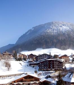 莫尔济讷佩蒂德鲁酒店的一座被雪覆盖的小镇,背景是一座山