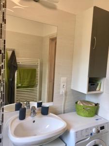 扎马迪ZEN Apartman Sunshine的一间带水槽和洗衣机的浴室