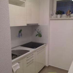扎普雷希奇Angelina Apartment的小厨房配有白色橱柜和水槽
