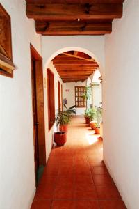 瓦哈卡市Hotel Casa de la Tía Tere的建筑里空荡荡的走廊,有盆栽植物