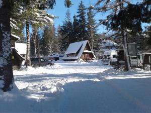 扎科帕内Camping Pod Krokwią的雪覆盖的院子,背景是房子