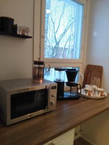 罗瓦涅米北极公寓的厨房配有微波炉和柜台上的盘子