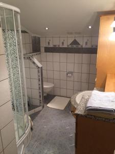 斯拉德明Urlpoldhof的带淋浴、卫生间和盥洗盆的浴室