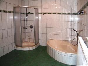 阿特湖畔翁特拉赫Tremlhof的带淋浴和浴缸的浴室。