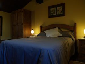 埃尔瓦La casa del Vado的一间卧室配有一张带蓝色毯子的大床
