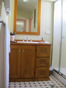 汤斯维尔经典住宿加早餐旅馆的一间带水槽和镜子的浴室