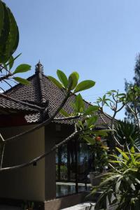 金塔马尼巴鲁娜别墅酒店的一座有屋顶和一些植物的房子