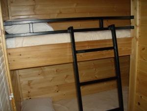 NicolausLake Minden Camping Resort Cottage 2的客房内的双层床,带梯子