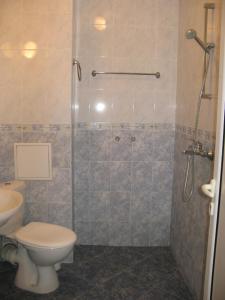 Radnevo纳克拉酒店的带淋浴、卫生间和盥洗盆的浴室