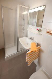 HohenauLandhotel-Gasthof-Schreiner的一间带水槽、淋浴和卫生间的浴室