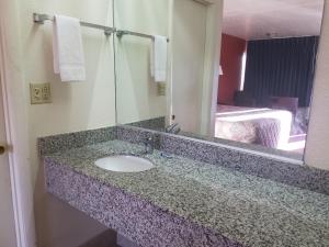 凯斯I-26大师汽车旅馆的浴室的柜台设有水槽和镜子