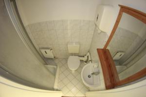 柏林施拉夫拉姆公寓的一间带卫生间和水槽的小浴室