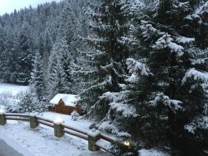 米库利钦Karpatska Villa的小屋旁的松树被雪覆盖