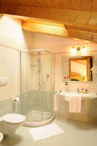 摩德纳迪-坎皮格里奥加尼拉索尔达内拉酒店的带淋浴、卫生间和盥洗盆的浴室