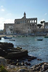 滨海波利尼亚诺La dimora di Poseidone的水体中装有船只的大建筑