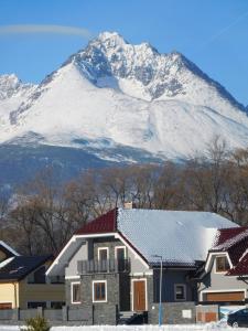 巴特佐维克TaTanKa apartments的一座有雪覆盖的山房