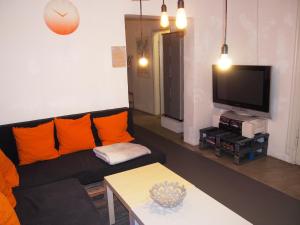 柏林鲍克思61艺术概念公寓旅舍的客厅配有黑色沙发和电视