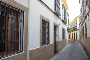 科尔多瓦卡萨洛斯法罗赖斯旅馆的城市中一座空洞的小巷,有建筑